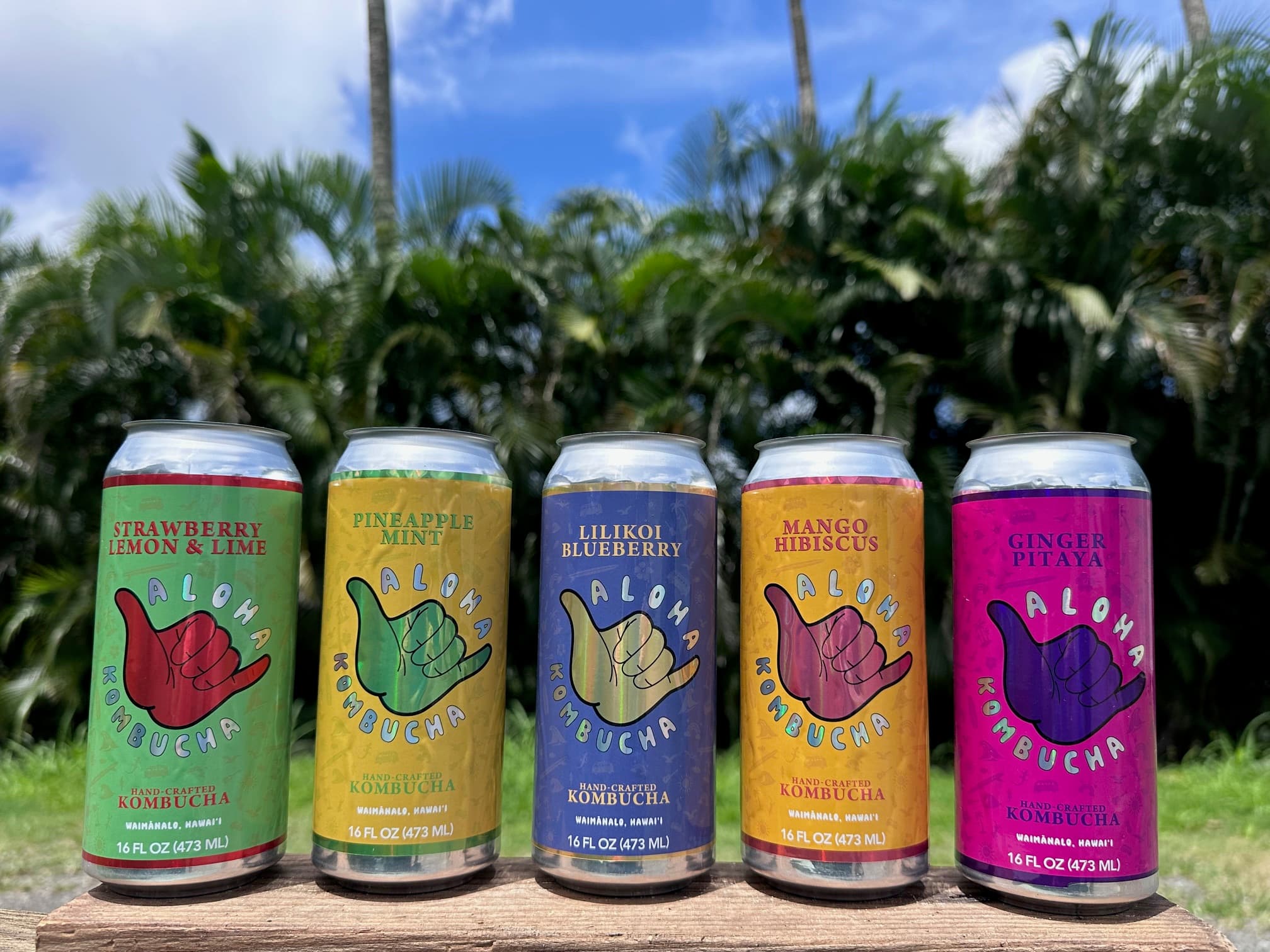 The five Aloha Kombucha flavors lined up against Hawaiian palms and blue sky